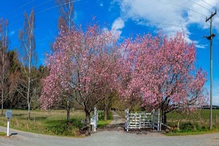 Photo of property in 1661 North Eyre Road, West Eyreton, Rangiora, 7475
