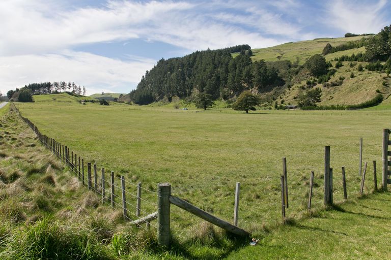 Photo of property in 837 Tukairangi Road, Acacia Bay, Taupo, 3385