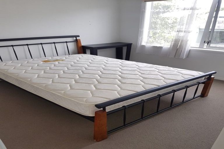 Photo of property in The Nautilus Apartments, 5b/18 Hobson Street, Auckland Central, Auckland, 1010
