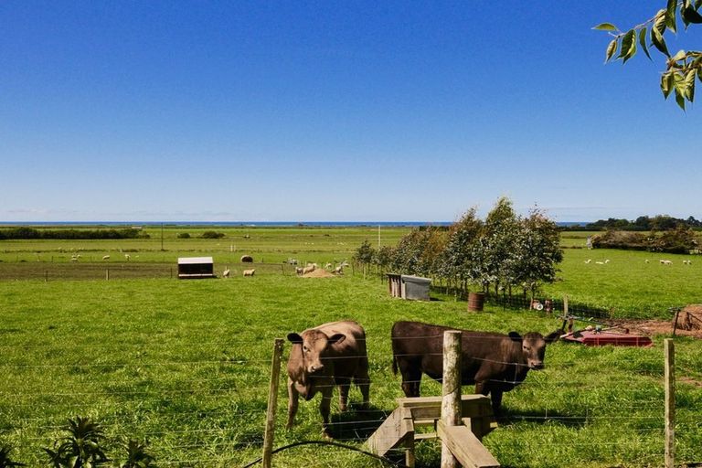 Photo of property in 393 Pukeuri-oamaru Road, Pukeuri, Oamaru, 9493