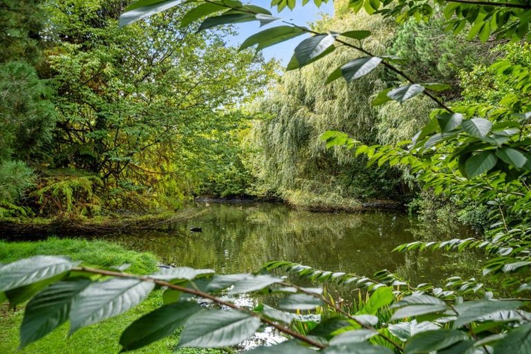 Photo of property in 93 Upland Road, Aongatete, Katikati, 3181