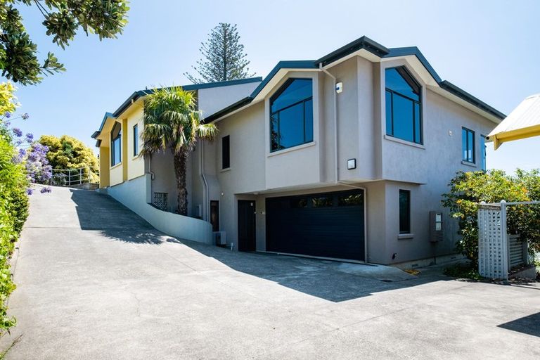 Photo of property in 20b Seapoint Road, Bluff Hill, Napier, 4110