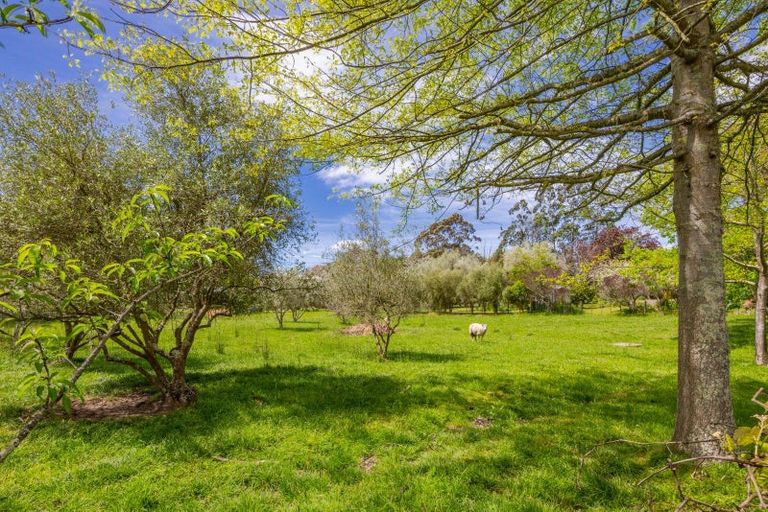 Photo of property in 5 Petersen Place, Waipukurau, 4200