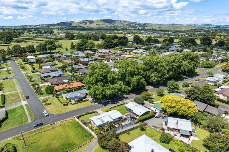 Photo of property in 99 Tennyson Street, Leamington, Cambridge, 3432