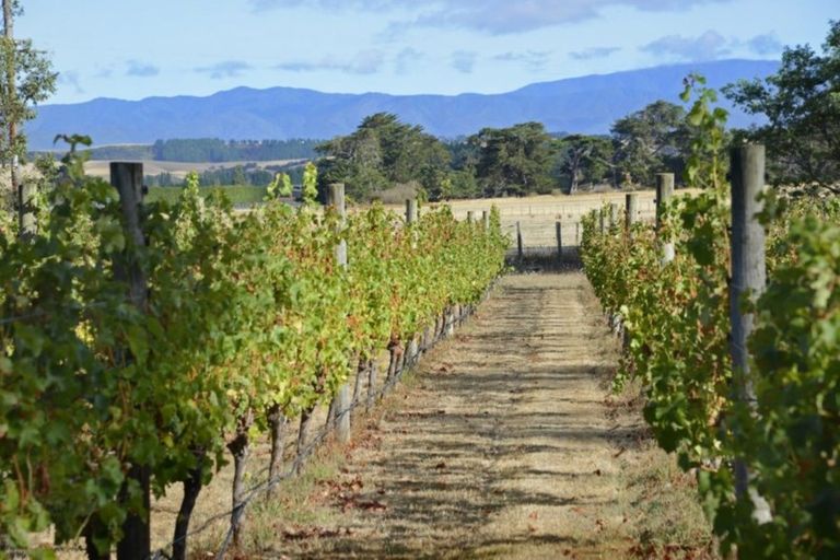 Photo of property in 1 Campbell Drive, Martinborough, 5711