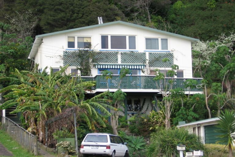 Photo of property in 11 Creagh Street, Tapu, Thames, 3575