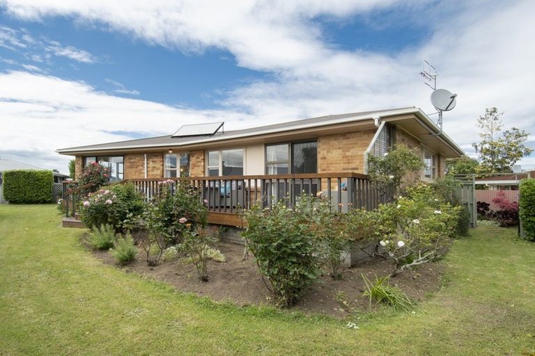 Photo of property in 18 Vine Avenue, Maungatapu, Tauranga, 3112
