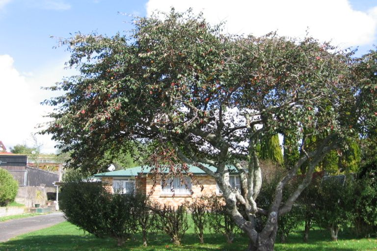 Photo of property in 2 Frances Street, Ngongotaha, Rotorua, 3010