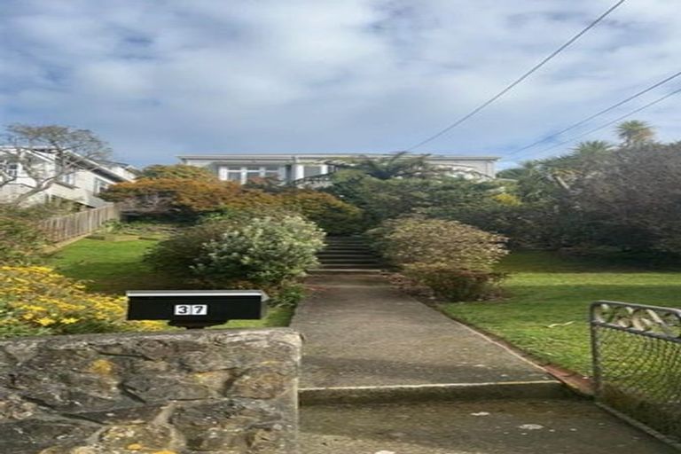 Photo of property in 37 Charlotte Avenue, Brooklyn, Wellington, 6021