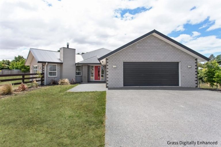 Photo of property in 8 Elm Grove, Amberley, 7410