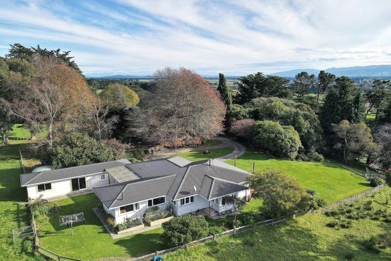 Photo of property in 180 Tipapakuku Road, Dannevirke, 4930