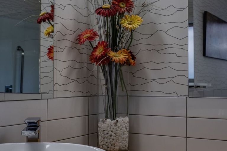 Photo of property in 239 Fifield Terrace, Opawa, Christchurch, 8023