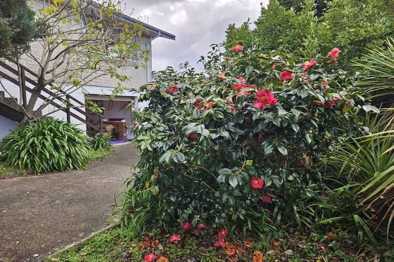 Photo of property in 112 Weatherly Road, Torbay, Auckland, 0630