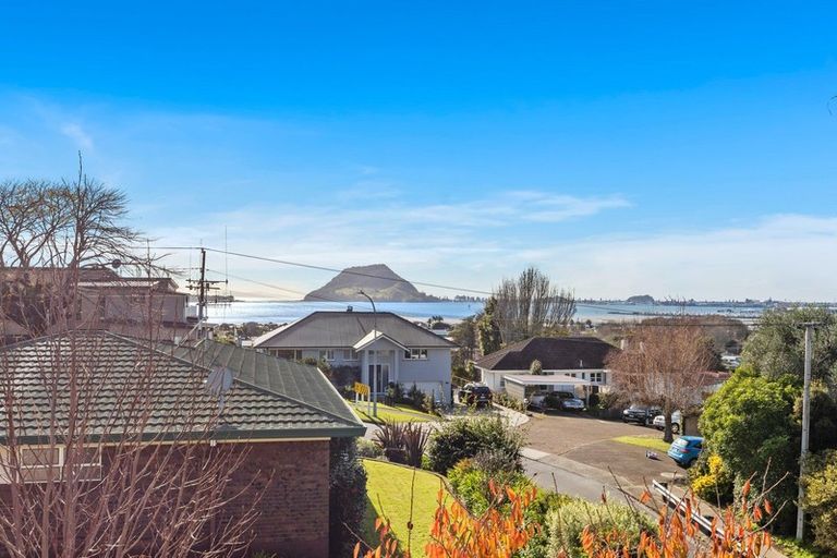 Photo of property in 49 Pillans Road, Otumoetai, Tauranga, 3110