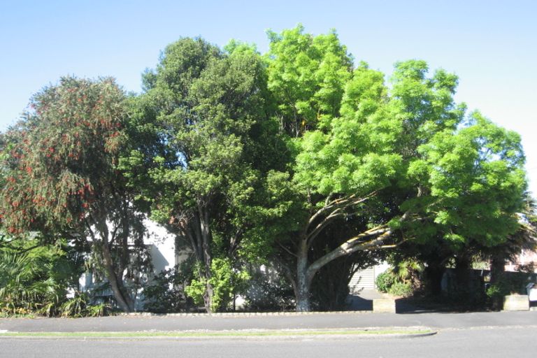 Photo of property in 75 Campbell Street, Whanganui, 4500