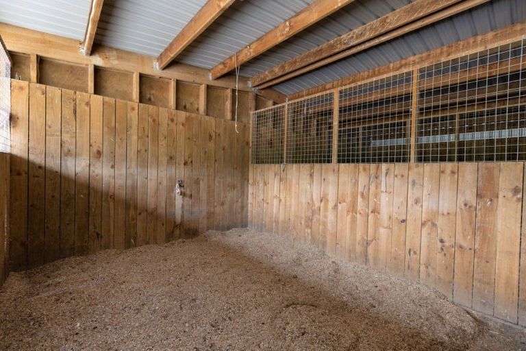 Photo of property in 221 Waitao Road, Waitao, Tauranga, 3175