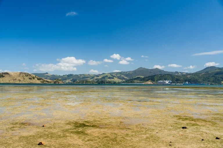 Photo of property in 60 Tidewater Drive, Lower Portobello, Dunedin, 9077