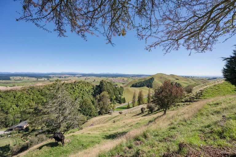 Photo of property in 442 Church Valley Road, Wakefield, 7095