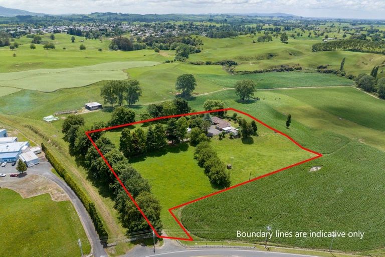 Photo of property in 113 Domain Road, Putaruru, 3482