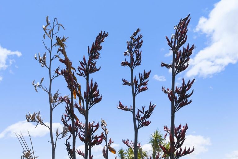 Photo of property in 234 Te Hapua Road, Te Horo, Otaki, 5581