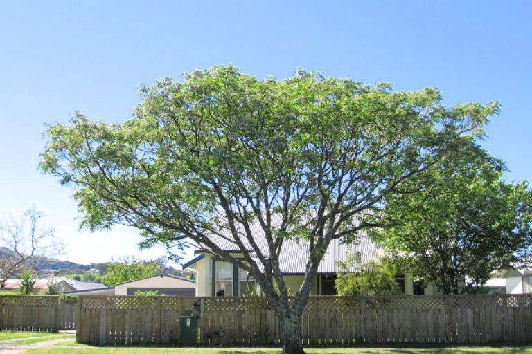 Photo of property in 7 Ward Street, Riverdale, Gisborne, 4010