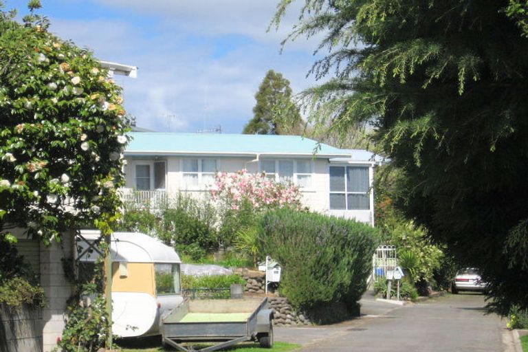 Photo of property in 164b Kingswood Road, Brookfield, Tauranga, 3110