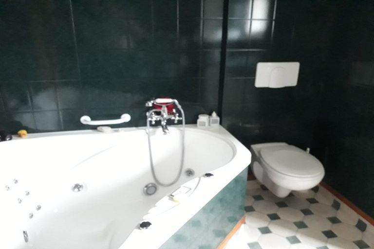 Photo of property in 562 Bird Road, Whataroa, 7886