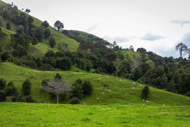 Photo of property in 71 Mangotahi Road, Thames, 3577