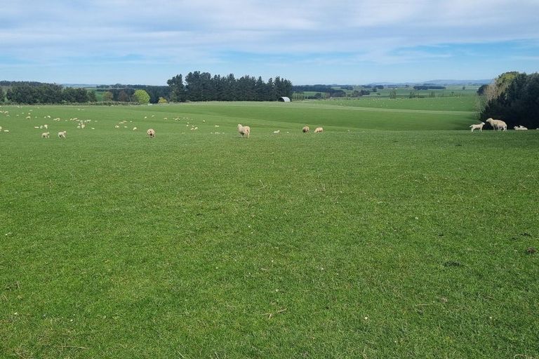 Photo of property in 1446a Clydevale Road, Clydevale, 9274