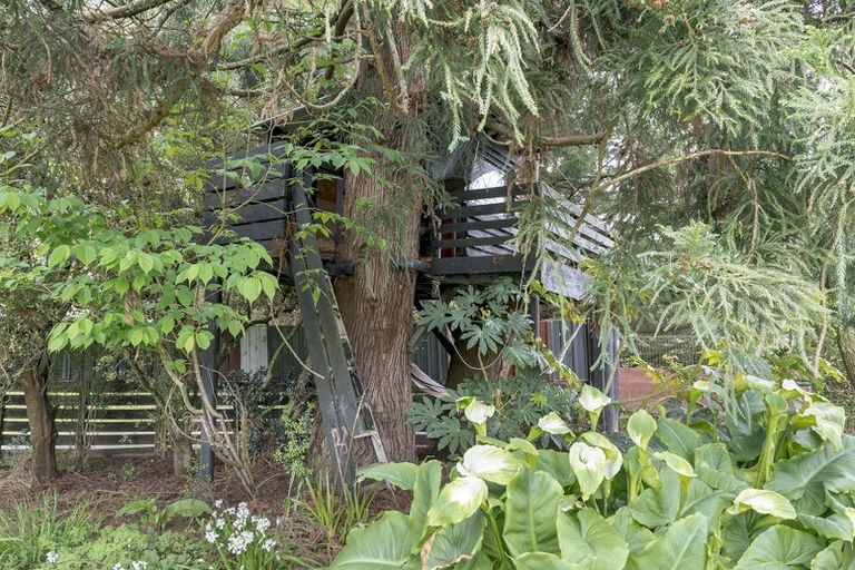 Photo of property in 301 State Highway 5, Tirau, 3485