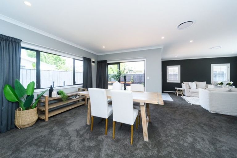 Photo of property in 14a Colombo Street, Hokowhitu, Palmerston North, 4410