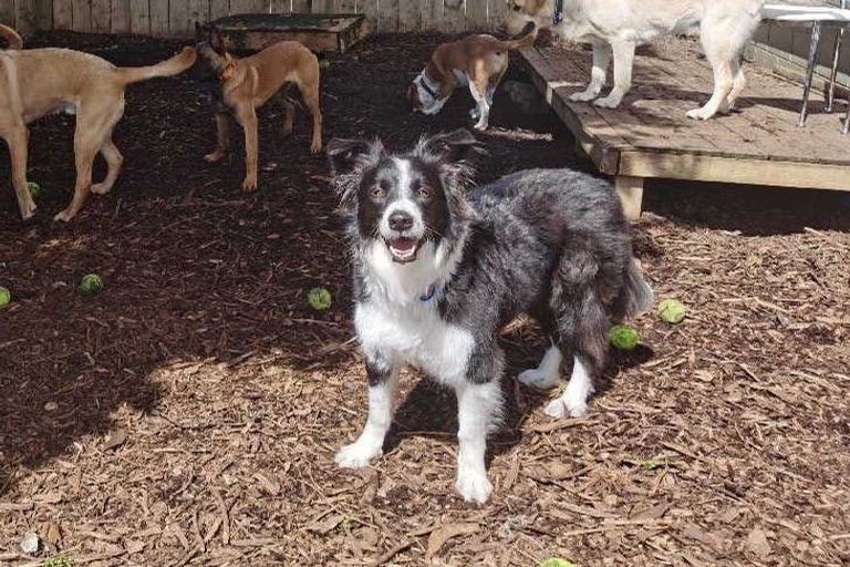Photo of property in 12 Haku Road, Flat Bush, Auckland, 2019