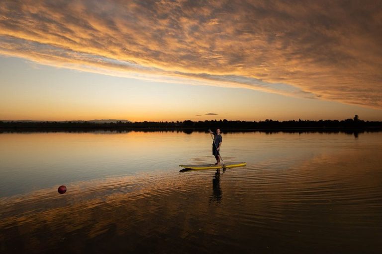 Photo of property in 48 Vine Avenue, Maungatapu, Tauranga, 3112