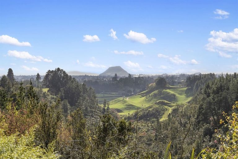 Photo of property in 555 Pyes Pa Road, Pyes Pa, Tauranga, 3173