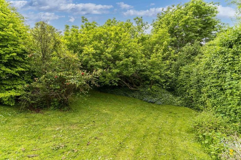 Photo of property in 52 Greenhill Avenue, Wakari, Dunedin, 9010