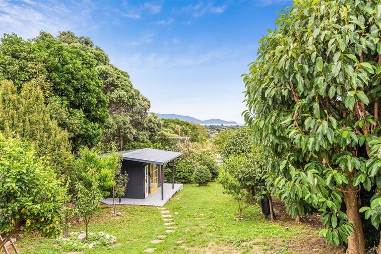 Photo of property in 50 Winara Avenue, Waikanae, 5036