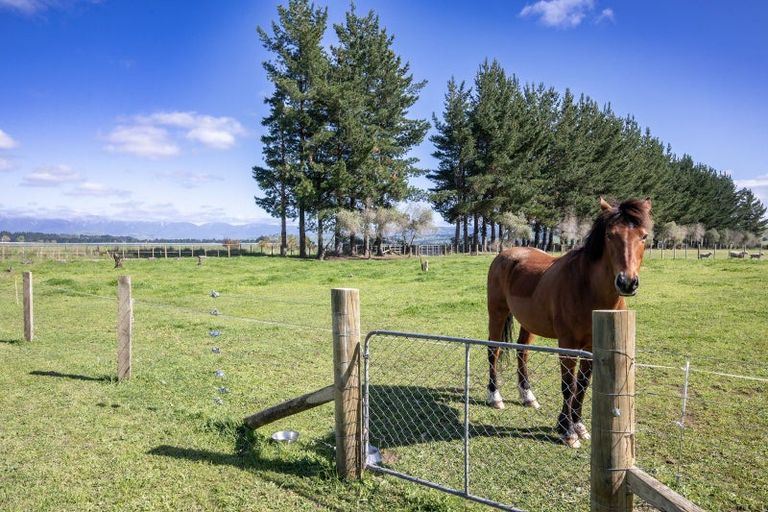 Photo of property in 158 Caldwell Road, Ongaonga, 4279