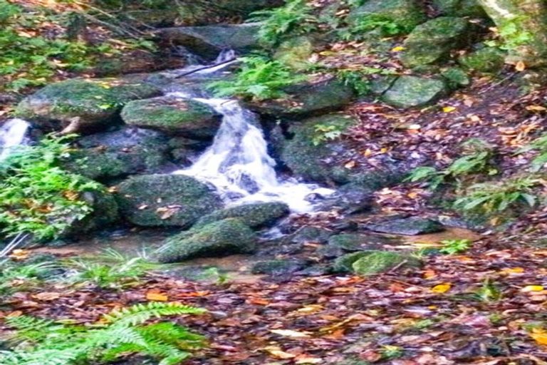 Photo of property in 362a Cemetery Road, Maunu, Whangarei, 0179