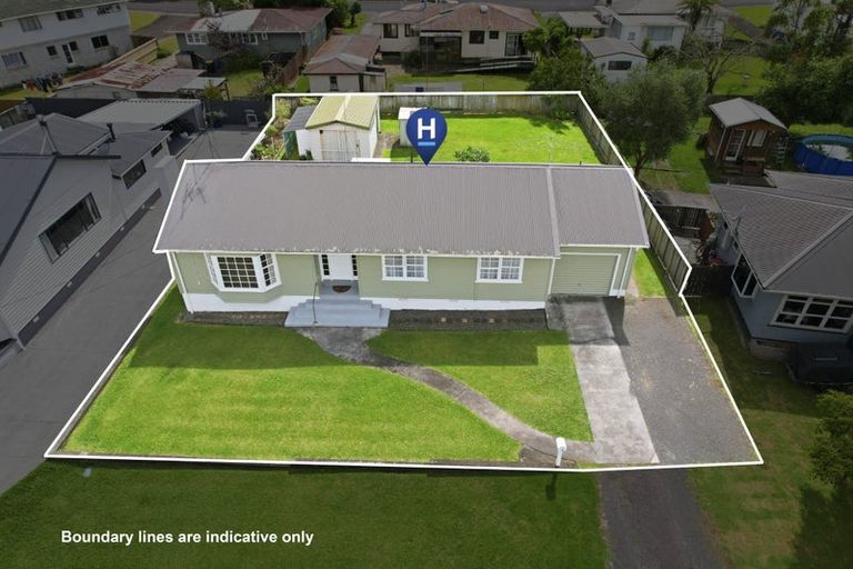 Photo of property in 32 Willoughby Street, Paeroa, 3600