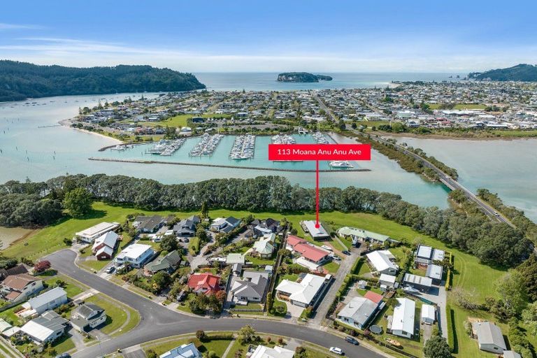Photo of property in 113 Moana Anu Anu Avenue, Whangamata, 3620