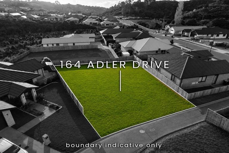 Photo of property in 164 Adler Drive, Ohauiti, Tauranga, 3112