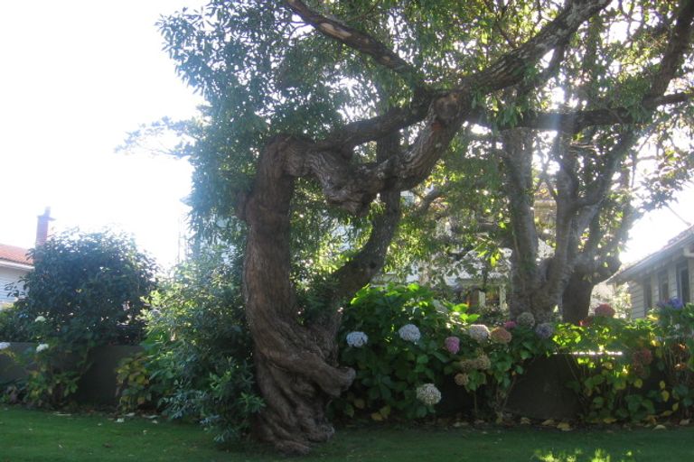 Photo of property in 23 Penrose Street, Woburn, Lower Hutt, 5010