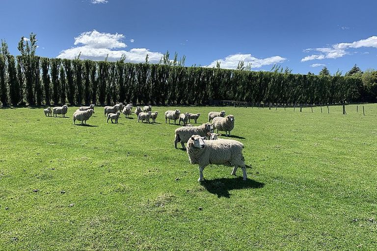 Photo of property in 440 Springs Road, Prebbleton, 7604