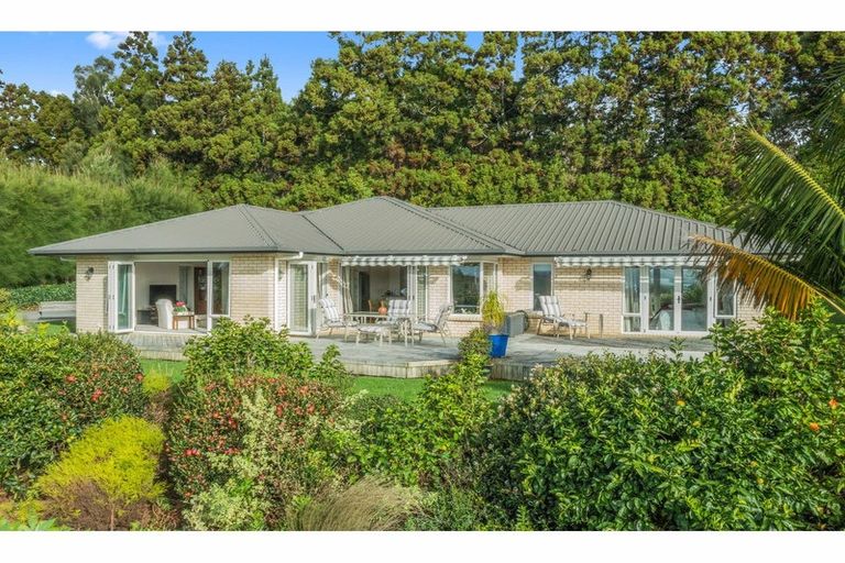 Photo of property in 73 Avocado Lane, Mangawhai, Wellsford, 0975