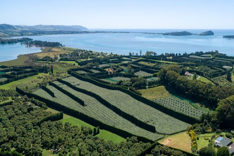 Photo of property in 215 Ongare Point Road, Tahawai, 3170