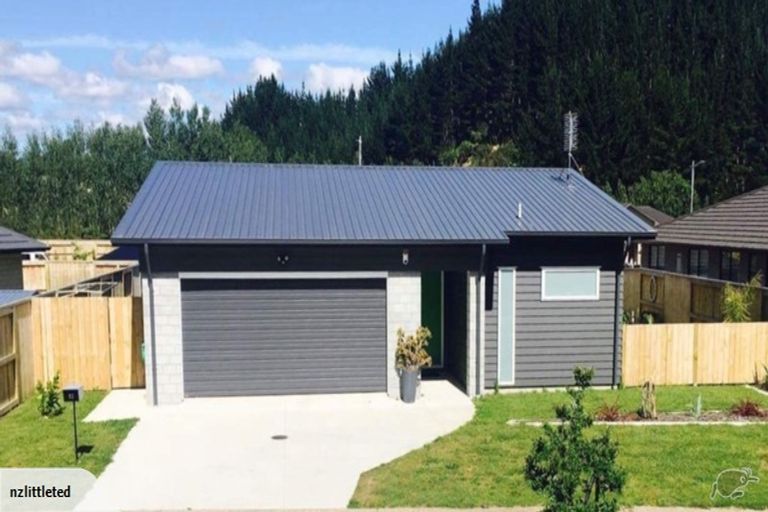 Photo of property in 20 Conniston Way, Pyes Pa, Tauranga, 3112