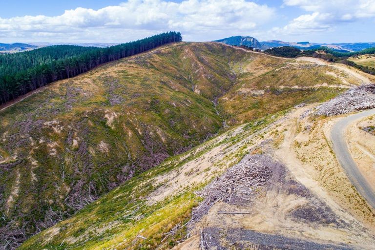 Photo of property in 3525 Masterton Castlepoint Road, Mangapakeha, Masterton, 5889