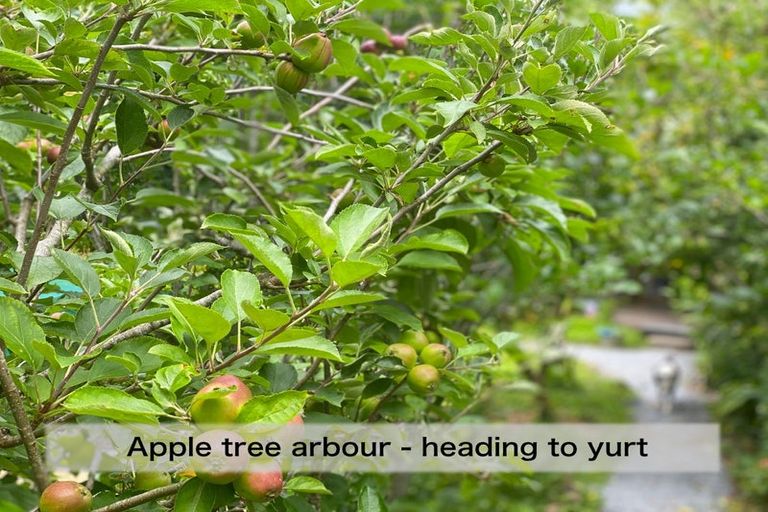 Photo of property in 4 Te Pahi River Drive, Paparoa, Maungaturoto, 0583