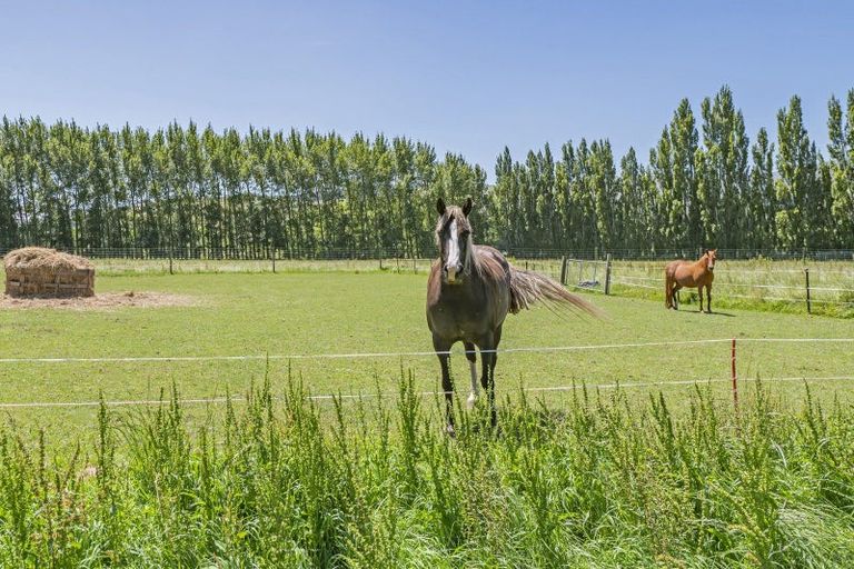Photo of property in 83 Otahuna Road, Tai Tapu, Christchurch, 7672