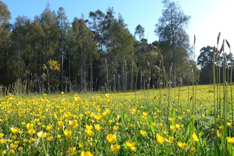 Photo of property in 256 Sutton Road, Drury, Papakura, 2584